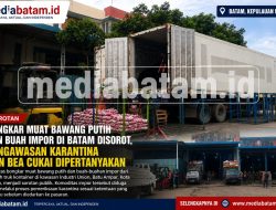 Bongkar Muat Bawang Putih dan Buah Impor di Kawasan Union Batu Ampar Disorot, Publik Pertanyakan Pengawasan Karantina dan Bea Cukai
