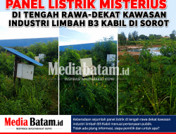 Panel Listrik Misterius Di Tengah Rawa Dekat Kawasan Industri B3 Kabil Disorot, Publik Pertanyakan Pungsi Dan Legalitas