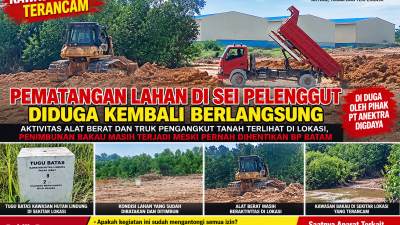 Pematangan Lahan Sei Pelenggut Kembali Beraktivitas, Dugaan Penimbunan Bakau Dipertanyakan — Benarkah Sudah Kantongi Seluruh Izin?