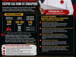 Gas Natuna Mengalir ke Singapura, Batam Baru Kebagian? Projo Kepri Desak Pemerintah Evaluasi Ekspor Gas Bumi