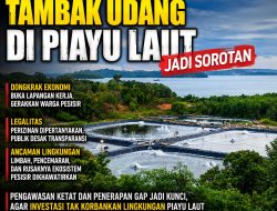 Tambak Udang Piayu Laut Jadi Sorotan