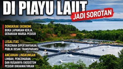 Tambak Udang Piayu Laut Jadi Sorotan