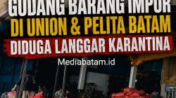 Diduga Langgar Prosedur Karantina, Gudang Barang Import Di Kawasan Union Dan Pelita Batam Jd Sorotan