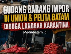 Diduga Langgar Prosedur Karantina, Gudang Barang Import Di Kawasan Union Dan Pelita Batam Jd Sorotan