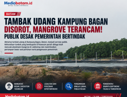 Tambak Udang Kampung Bagan Disorot, Mangrove Terancam” Publik Desak Pemerintah Bertindak