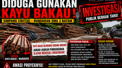 Proyek Pelebaran Jalan Tengku Sulung Disorot, Kayu Bakau Diduga Jadi Material Penahan