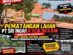 Pematangan Lahan PT SRI Indah di Teluk Mata Ikan Disorot: Bukit Dikupas, Material Diangkut, Dugaan Penimbunan Bakau Dipertanyakan