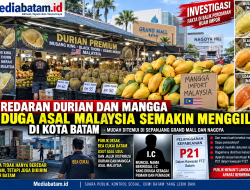 Durian dan Mangga Diduga Asal Malaysia Membanjiri Batam, Jalur Masuk dan Distribusi Keluar Daerah Dipertanyakan
